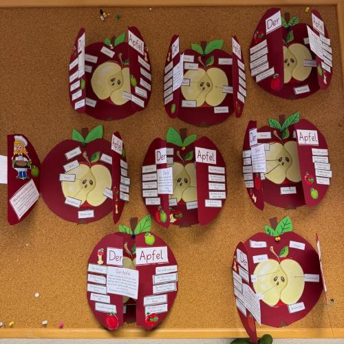 Lapbook Apfel