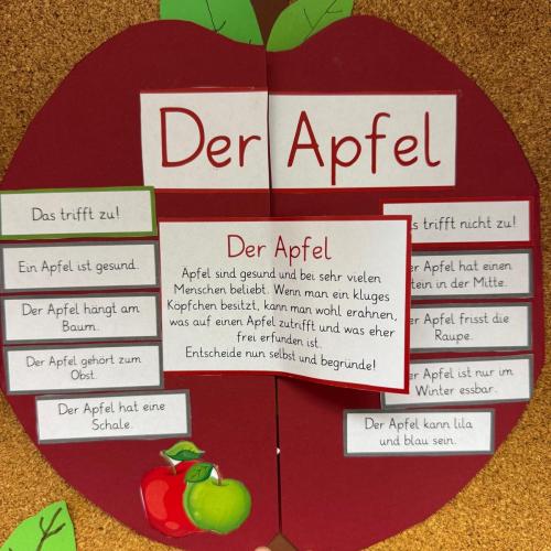 Lapbook Apfel