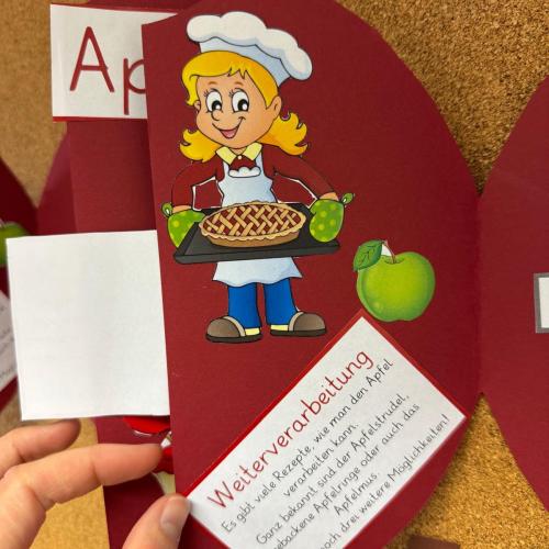 Lapbook Apfel