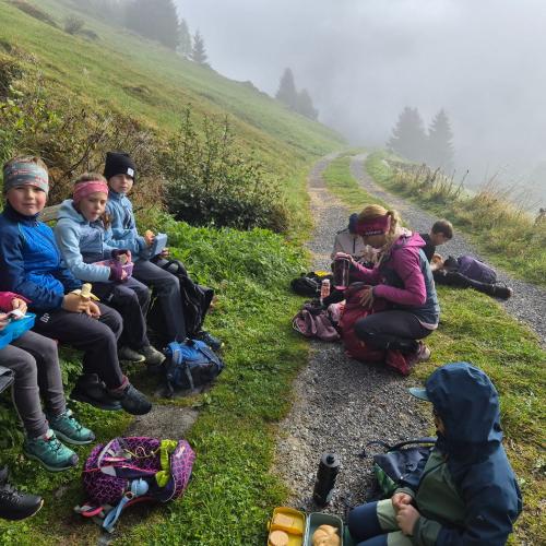 Kurze Pause vom Nebel