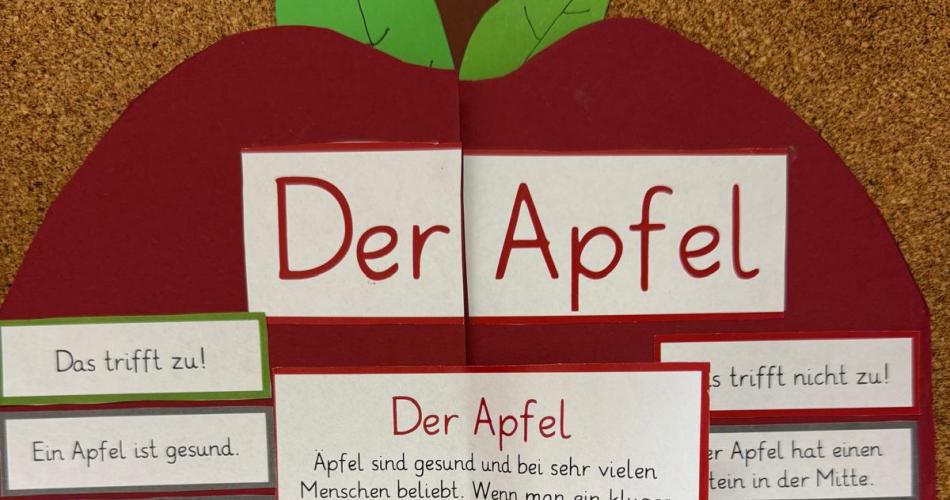 Lapbook Apfel
